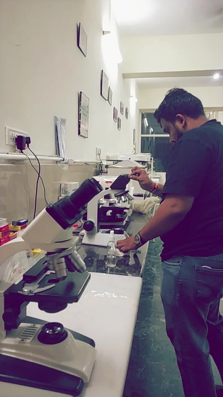 BitOptix microscope service and laboratory work image 6